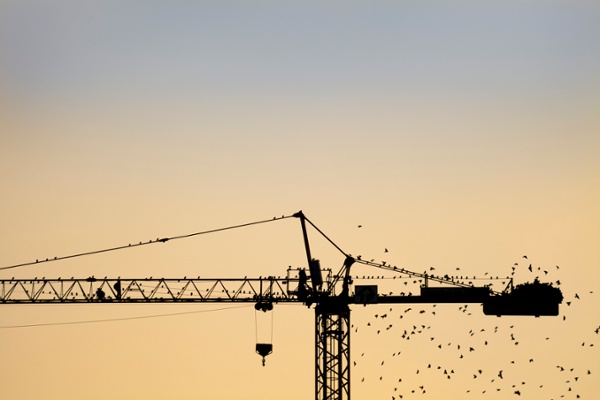 Birds landing on a crane during sunset