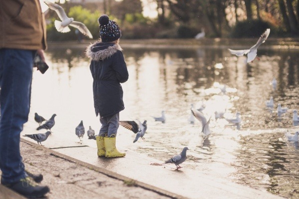 Girl feeding pigeons at a park pond