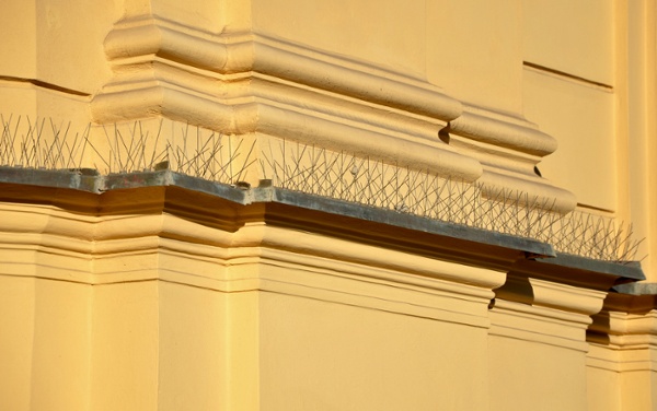 Historic building using bird spikes as one of the perimeter defenses in bird control