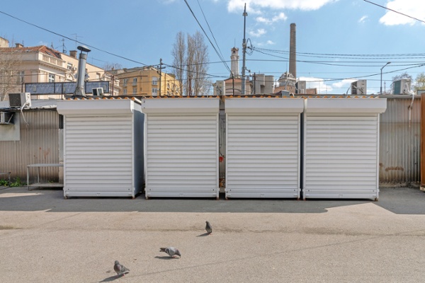 Pest birds near warehouse storage before the owners incorporate bird proofing tips for commercial buildings