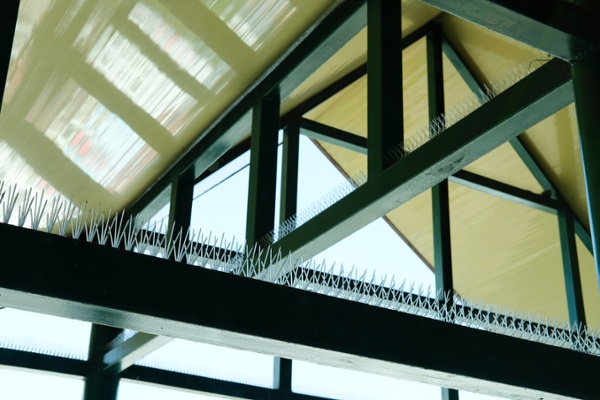 bird spikes lining beams inside a building